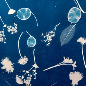Introduction to Cyanotype