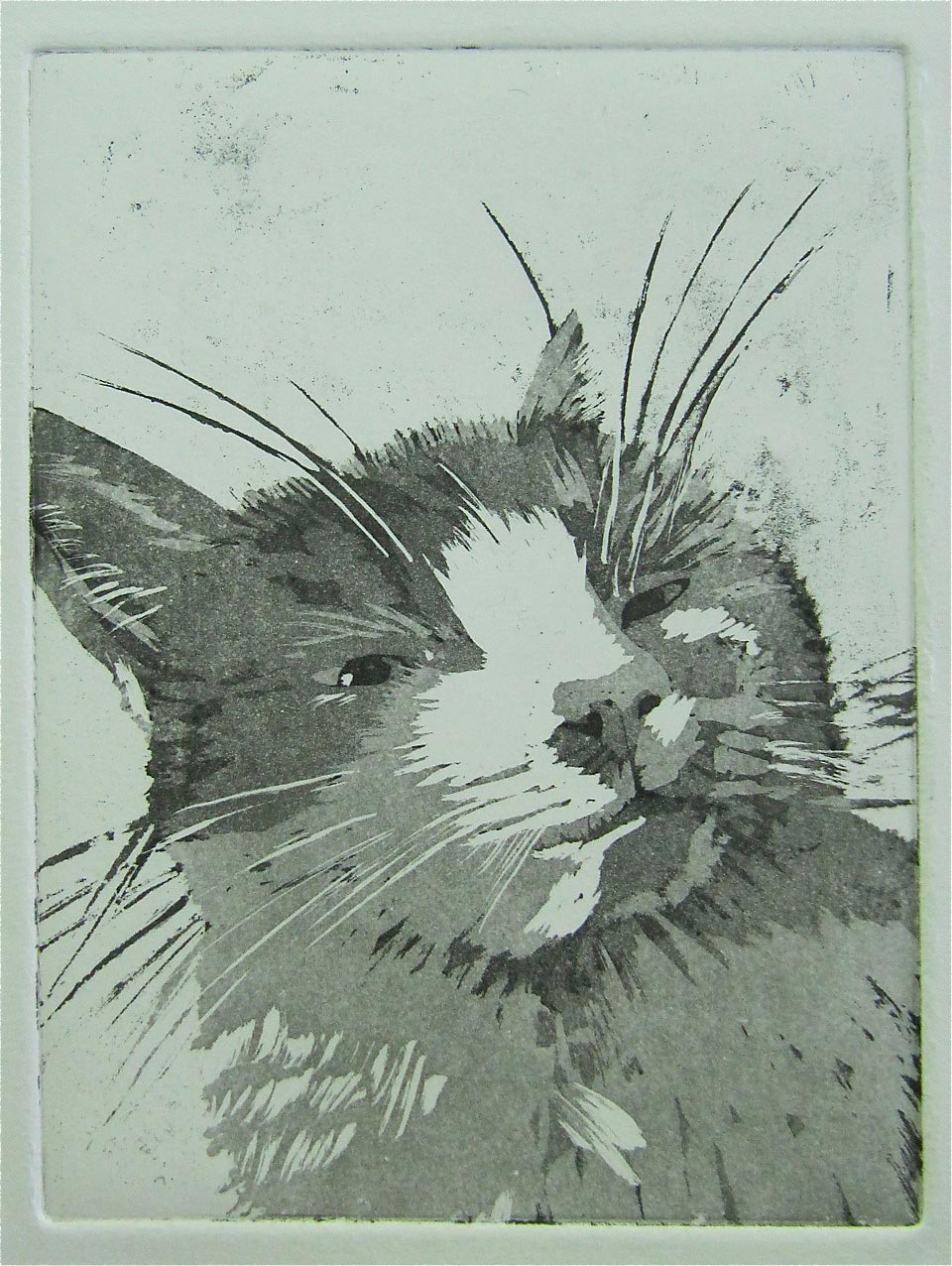 Printmaking Techniques Curwen Print Study Centre